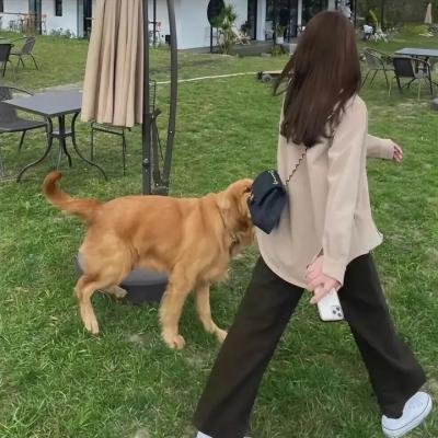 寻欢觅爱
